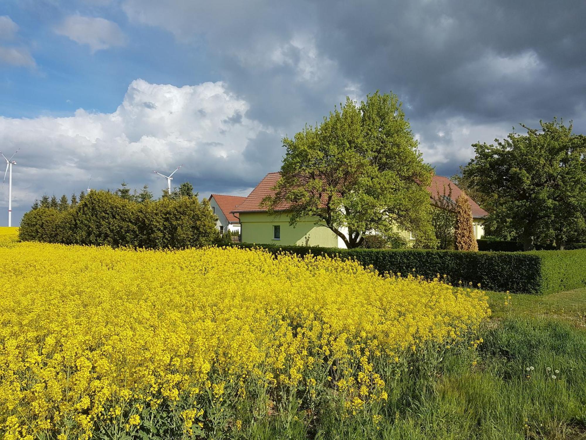 Ferienhaus Uckermark Casekow Ngoại thất bức ảnh